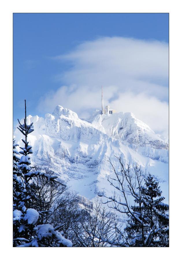Rossfall Schwagalp Bagian luar foto